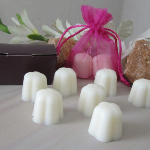 Glaçons de cire parfumés